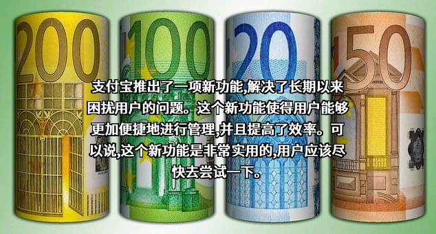 支付宝（中国）网络技术有限公司