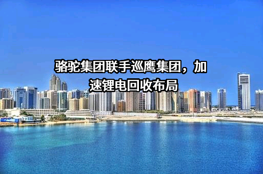 骆驼集团资源循环襄阳有限公司