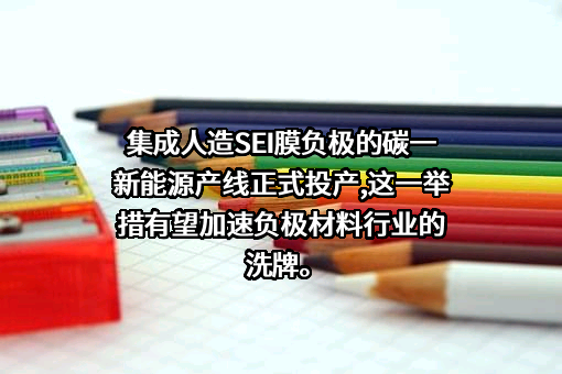 碳一新能源集团有限责任公司