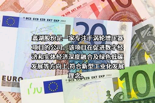 无锡蠡湖增压技术股份有限公司