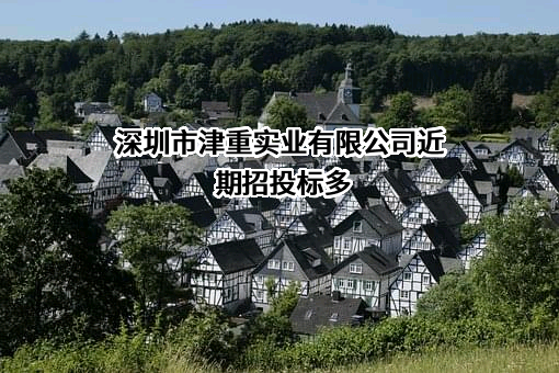 深圳市津重实业有限公司