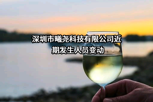 深圳市曦尧科技有限公司