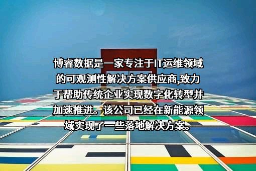 北京博睿宏远数据科技股份有限公司