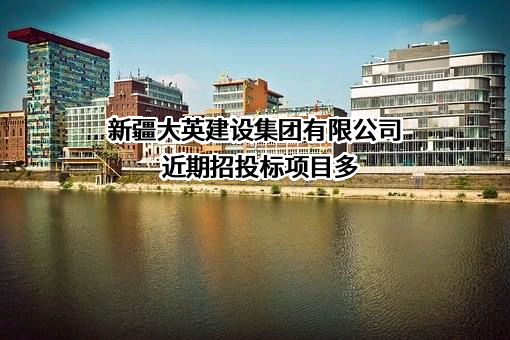 新疆大英建设集团有限公司