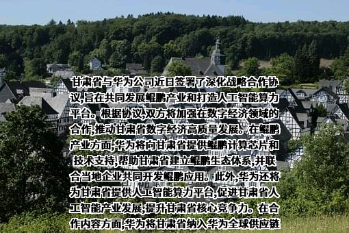 华为技术有限公司