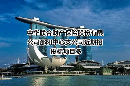 中华联合财产保险股份有限公司邵阳中心支公司