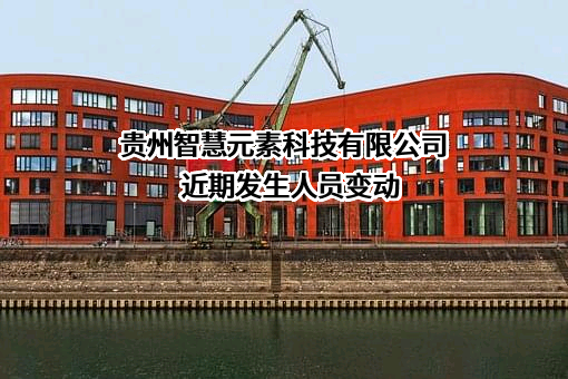 贵州智慧元素科技有限公司