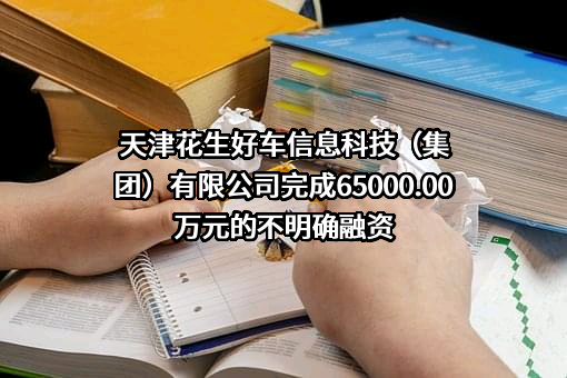 天津花生好车信息科技（集团）有限公司完成65000.00万元的不明确融资