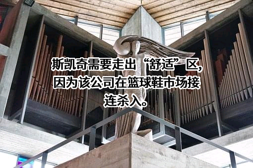 福建鸿星尔克体育用品有限公司