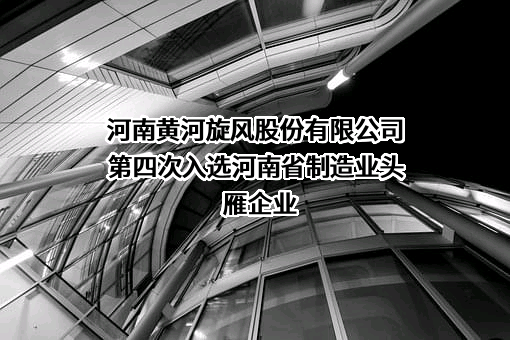 河南黄河旋风股份有限公司