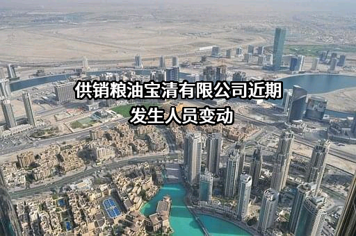 供销粮油宝清有限公司