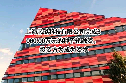 上海芯璐科技有限公司