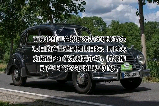 南京化纤股份有限公司