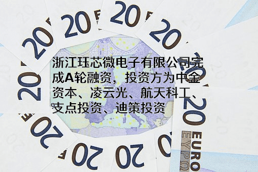 浙江珏芯微电子有限公司