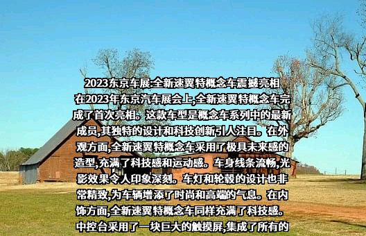 铃木（中国）投资有限公司
