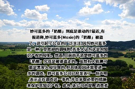 上海妙可蓝多食品科技股份有限公司
