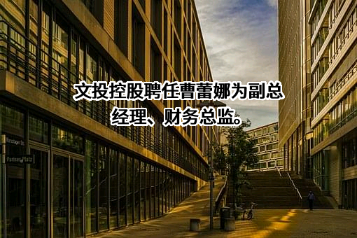 文投控股股份有限公司