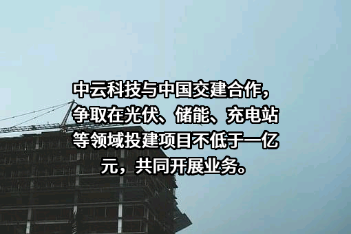 中国交通建设股份有限公司