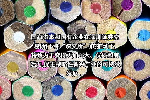 中国诚通控股集团有限公司