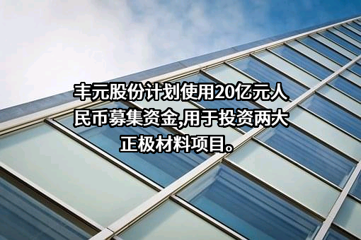 山东丰元化学股份有限公司
