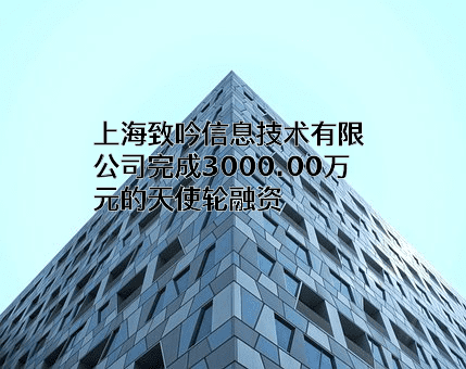 上海致吟信息技术有限公司