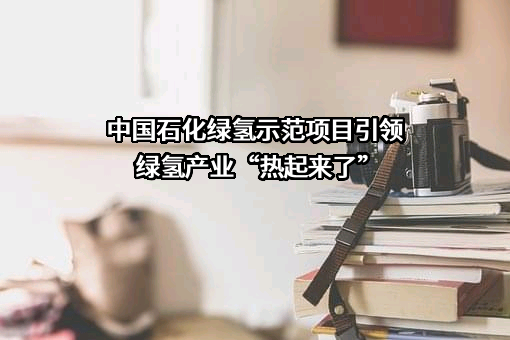 中国石油化工集团有限公司
