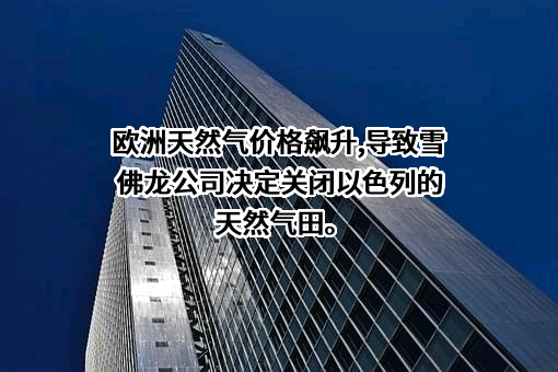 雪佛龙（中国）投资有限公司