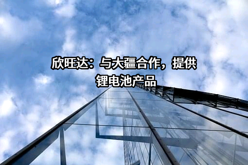 欣旺达电子股份有限公司