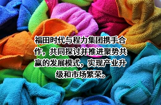 湖北程力集团有限公司