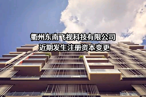 衢州东南飞视科技有限公司