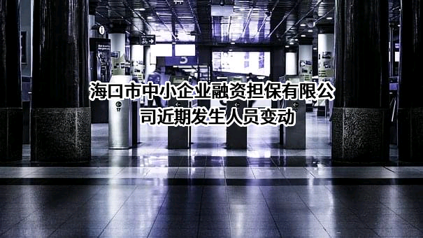 海口市中小企业融资担保有限公司