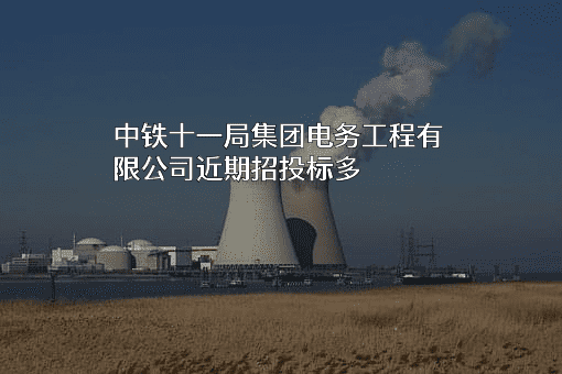 中铁十一局集团电务工程有限公司