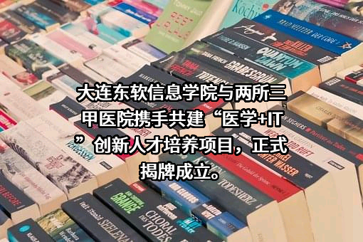 大连东软信息学院