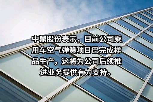 安徽中鼎密封件股份有限公司