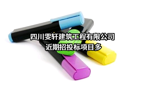 四川雯轩建筑工程有限公司