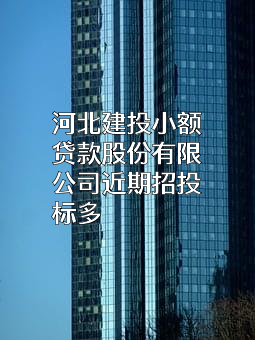 河北建投小额贷款股份有限公司