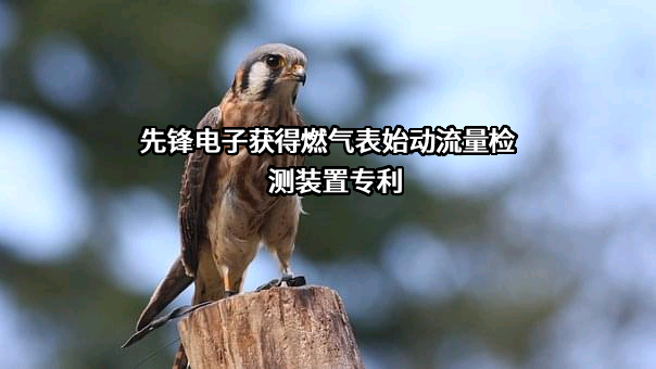 杭州先锋电子技术股份有限公司