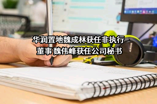 华润置地有限责任公司