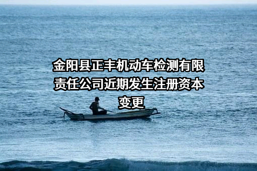金阳县正丰机动车检测有限责任公司