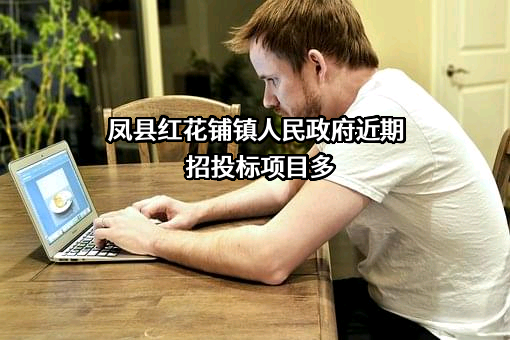 凤县红花铺镇人民政府