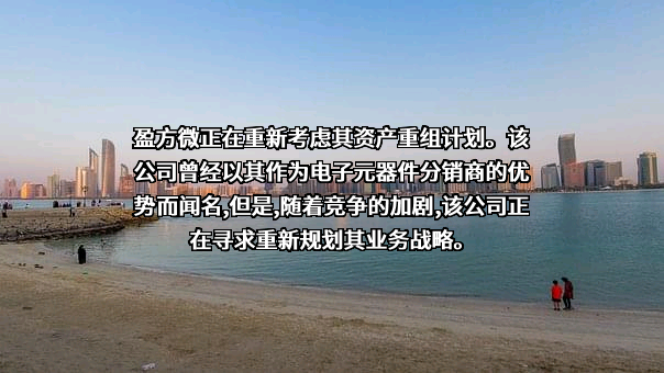 盈方微电子股份有限公司