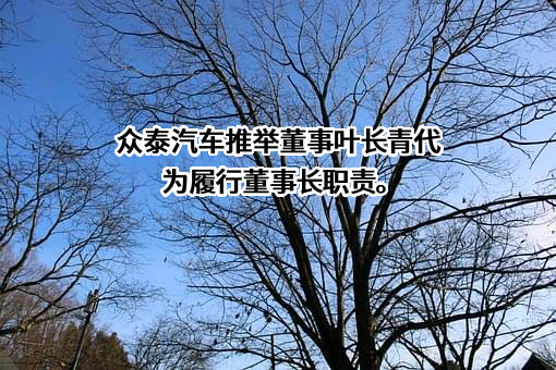 众泰汽车股份有限公司