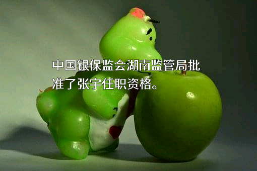 湖南联益保险代理服务有限公司