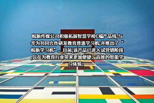 安徽新华传媒股份有限公司