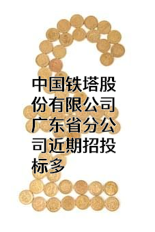 中国铁塔股份有限公司广东省分公司