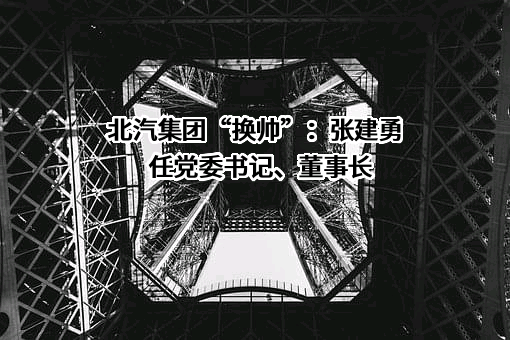北京汽车集团有限公司