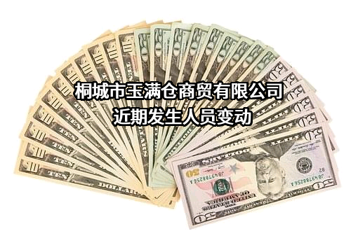 桐城市玉满仓商贸有限公司