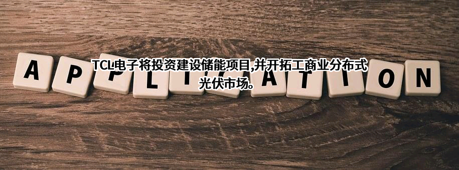 TCL电子控股有限公司