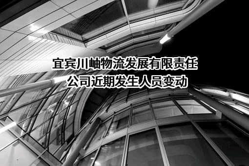宜宾川岫物流发展有限责任公司