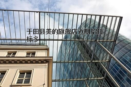 于田县美的旗舰店